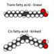 Illustration for article titled Trans fats and the chemistry of evil